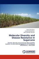 Molecular Diversity and Disease Resistance in Sugarcane: Genetic diversity assessment by Microsatellite markers, in vitro micro propagation of Saccharum officinarum L. and SCMV 384653238X Book Cover