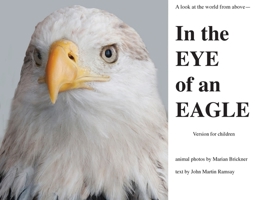 In the Eye of an Eagle: A look at the world from above. 1733029133 Book Cover