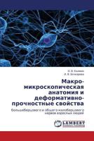 Makro-mikroskopicheskaya anatomiya i deformativno-prochnostnye svoystva: bol'shebertsovogo i obshchego malobertsovogo nervov vzroslykh lyudey 384737981X Book Cover