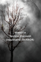 Misteri e Terrore: Racconti Inquietanti (HORROR) (Italian Edition) 911843164X Book Cover