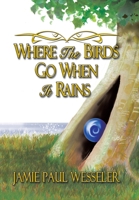 Where The Birds Go When It Rains 1434315509 Book Cover