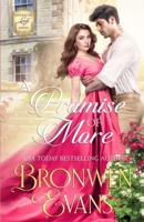 A Promise of More B09ZFC57LF Book Cover