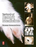 Textbook of Rabbit Medicine 0750640022 Book Cover