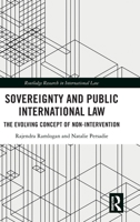 Sovereignty and Public International Law: The Evolving Concept of Non-Intervention (Routledge Research in International Law) 1041215940 Book Cover