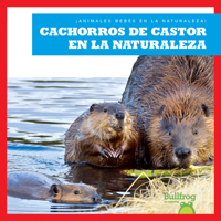 Cachorros de Castor En La Naturaleza (Beaver Kits in the Wild) B0BY18WD63 Book Cover