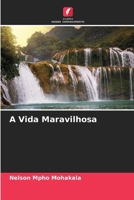 A Vida Maravilhosa (Portuguese Edition) 620993482X Book Cover