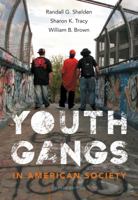 Youth Gangs in American Society 1133049567 Book Cover
