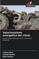 Valorizzazione energetica dei rifiuti: Caso di studio: pneumatici usati e rifiuti tessili industriali (Italian Edition) 6206837920 Book Cover