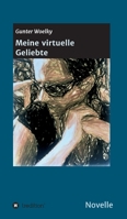 Meine virtuelle Geliebte: Roman 3347040481 Book Cover