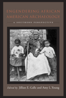 Engendering African American Archaeology: A Southern Perspective 1621901939 Book Cover