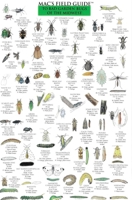 Mac's Field Guide to Good Garden Bugs of the Midwest (Mac's Guides (Flash Cards)) 0898867460 Book Cover
