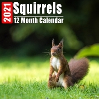 Calendar 2021 Squirrels: Cute Squirrel Photos Monthly Mini Calendar With Inspirational Quotes each Month B08DBNH5T9 Book Cover
