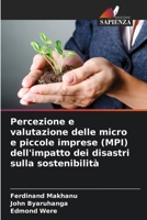 Percezione e valutazione delle micro e piccole imprese (MPI) dell'impatto dei disastri sulla sostenibilità (Italian Edition) 6209599958 Book Cover
