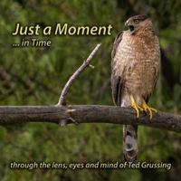 Just a Moment ... in Time: through the lens, eyes and mind of Ted Grussing 0578488442 Book Cover