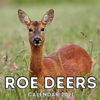 Roe Deers Calendar 2021: 16-Month Calendar, Cute Gift Idea For Deer Lovers Women & Men B0948RP8Y6 Book Cover