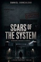Scars of the System: At Ravenhill, Innocence Is Evidence Against You B0HFN5C2MZ Book Cover