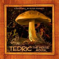 Tedric the House Mouse 0615295428 Book Cover