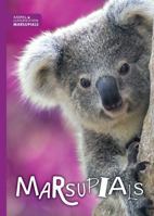 Marsupials 1534530584 Book Cover