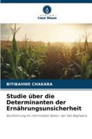 Studie über die Determinanten der Ernährungsunsicherheit: Buchführung im informellen Sektor: der Fall Bagheera (German Edition) 6208688868 Book Cover