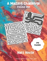 A Mazing Challenge 1654121274 Book Cover