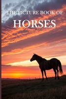 The Picture Book of Horses: A Calming Collection of Majestic Horse Images for Seniors with Dementia and Alzheimer's Patients - Gift Book for Memor B0DP39LR5H Book Cover