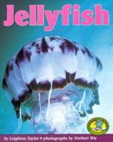 Jellyfish (Early Bird Nature Books) 0822530287 Book Cover