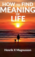 How to Find Meaning of Life: Your guide to life (Swedish Edition) 9180979815 Book Cover