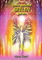 Wenn geliebte Seelen gehen: Wahre Erlebnisse und persönliche Einblicke, im Umgang mit Trauer (German Edition) 3384835697 Book Cover