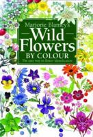 Wild Flowers by Colour: The Easy Way to Flower Identification 075130493X Book Cover