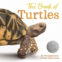 The Book of Turtles 0358458072 Book Cover