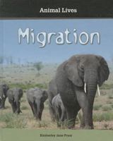 Migration 1599204053 Book Cover