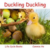 Duckling Duckling 1943241007 Book Cover