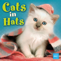 2021 Cats in Hats 16-Month Wall Calendar 1531909957 Book Cover