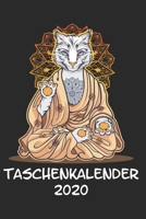 Taschenkalender 2020: Taschenkalender f�r Sept. 2019 bis Dezember 2020 A5 Terminplaner Wochenplaner Terminkalender Wochenkalender Organizer mit Katze K�tzchen Haustier Buddha Yoga Zen Mandala Religion 1695395441 Book Cover