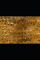 2021 WOODEN NICKELS: PRINCIPLES OF CORPORATE FINANCE B09KN65MCB Book Cover