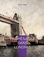 Promenades dans Londres: une ?tude de sociologie urbaine par l'une des pionni?re du mouvement f?ministe 2322424587 Book Cover