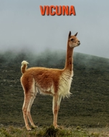 Vicuna: Learn About Vicuna and Enjoy Colorful Pictures B08MHKVKKC Book Cover
