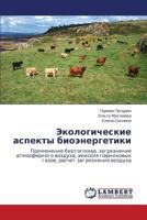 Ekologicheskie aspekty bioenergetiki: Primenenie biotopliva, zagryaznenie atmosfernogo vozdukha, emissiya parnikovykh gazov, raschet zagryazneniya vozdukha 3848483661 Book Cover