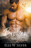Broken Triangle 1393680828 Book Cover