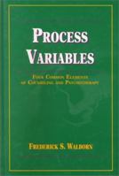 Process Variables: Four Common Elements of Counseling and Psychotherapy 0534208746 Book Cover