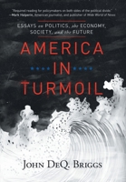 America in Turmoil: Essays on Politics, the Economy, Society, and the Future 1647047331 Book Cover