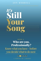 It's Still Your Song: Who Are you Professionally: Know what you have - before you decide what to do next B0GXBK6SNZ Book Cover