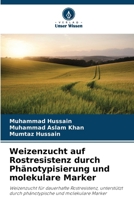 Weizenzucht auf Rostresistenz durch Phänotypisierung und molekulare Marker (German Edition) 6208347408 Book Cover