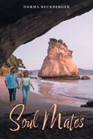 Soul Mates (Soul Mates Forever) 1038364396 Book Cover