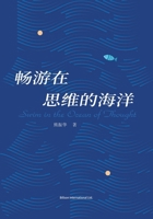 ???????? (Chinese Edition) 1803771704 Book Cover