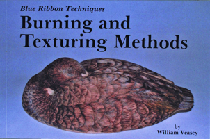 Burning and Texturing Methods (Blue Ribbon Techniques) 0887400132 Book Cover