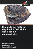 Il mondo dei fosfati, degli acidi fosforici e delle celle a combustibile (Italian Edition) 6207577809 Book Cover