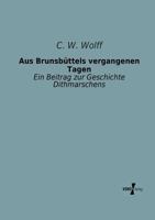 Aus Brunsbüttels vergangenen Tagen 3956100573 Book Cover