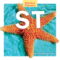 St: Sandcastle 2 Blends 1098282566 Book Cover