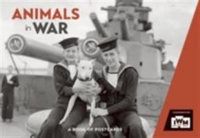 Animals in War Book of Postcards 0764975501 Book Cover